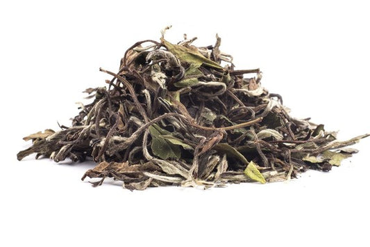 FUJIAN WHITE PEONY - biała herbata - 250 g
